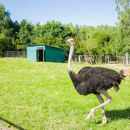 Shepilska Relax Complex Resort Dolgoluka